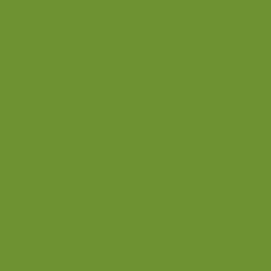 Bio Dunisoft serviette leaf green - 20x20 cm