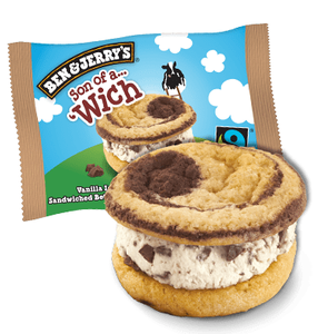Ben & Jerry's wich son of a 'wich duo